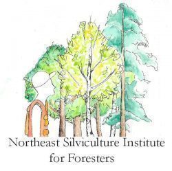 Northeast Silviculture Institute for Foresters